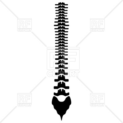 400x400 Human Spine Black Color Icon Vector Image Vector Artwork Of