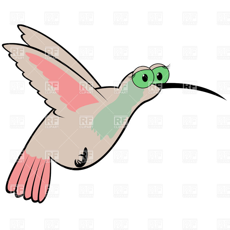 800x800 Funny Hummingbird Vector Image Vector Artwork Of Plants And