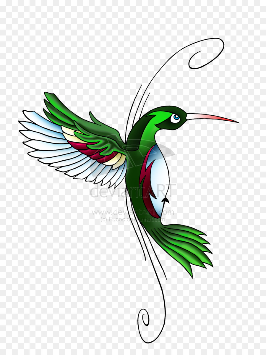 900x1200 Hummingbird Tattoo Clip Art