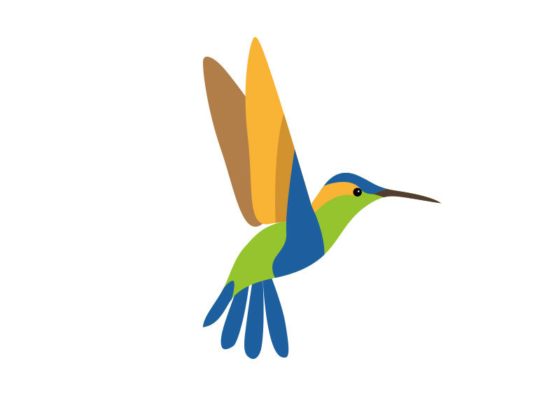 800x566 Hummingbird Vector