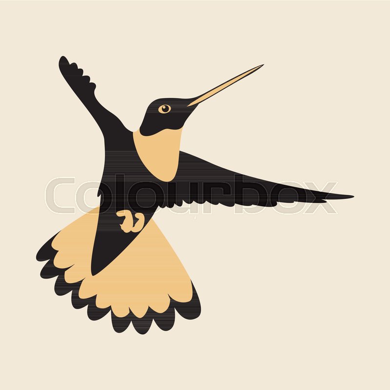 800x800 Hummingbird Vector Illustration Flat Style Profile Side Stock