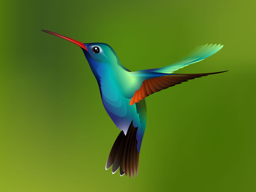 500x375 Watercolor Hummingbird Vector Free Download