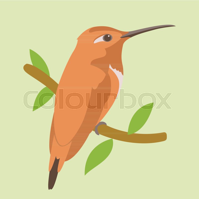 800x800 Bird Red Hummingbird Vector Illustration Flat Style Profile