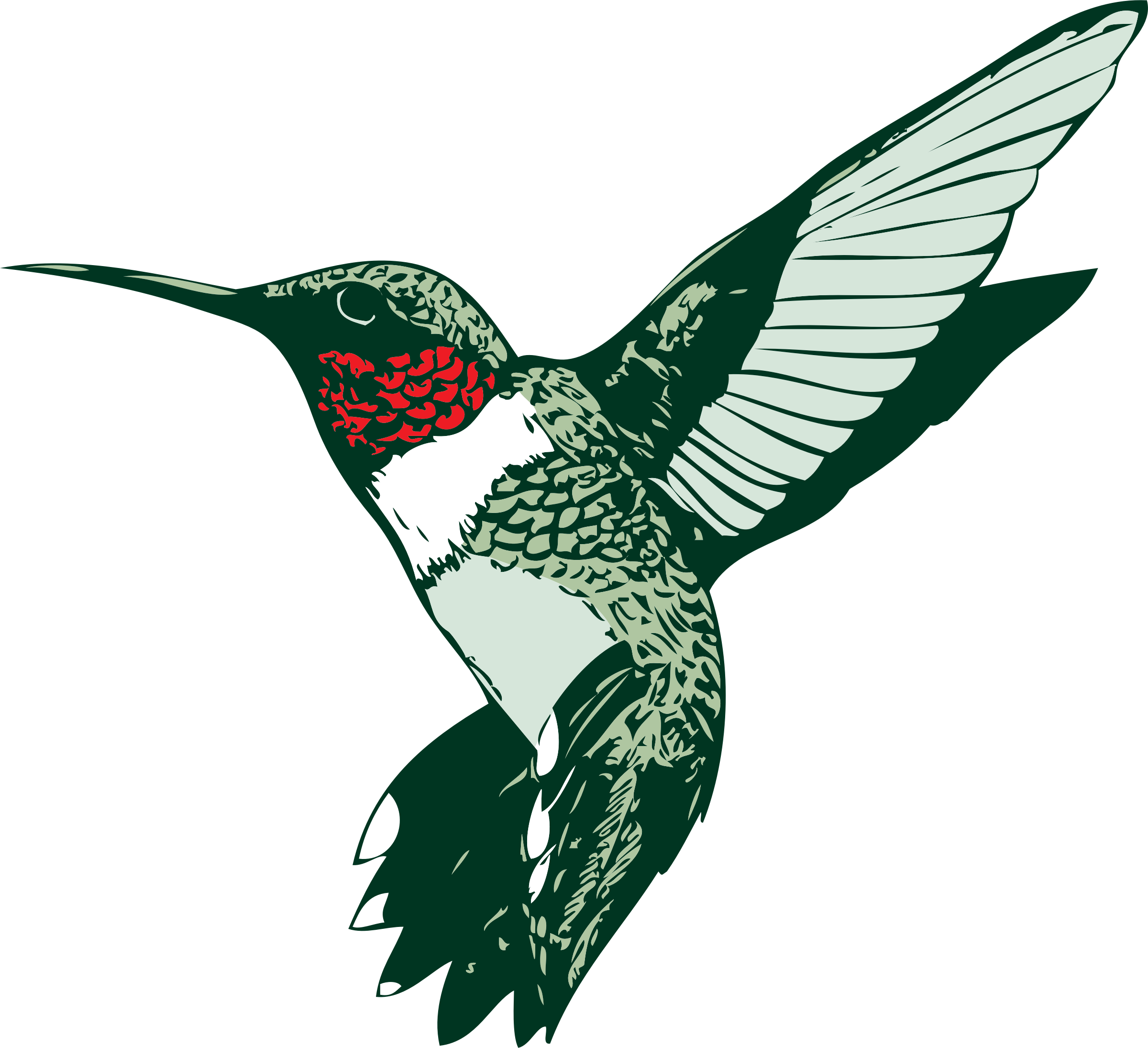 2400x2190 Collection Of Free Hummingbird Vector Vintage. Download On Ubisafe