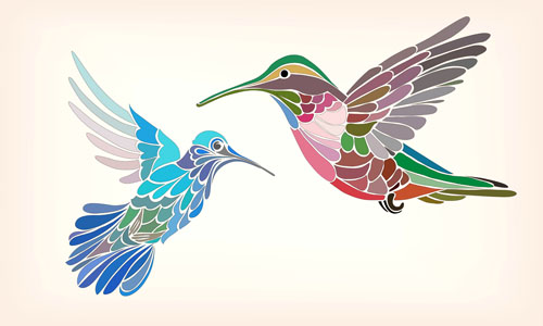 500x300 Floral Pattern Hummingbird Vector 01 Free Download