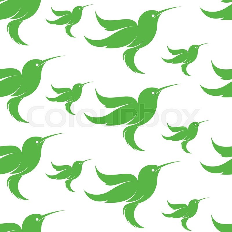 800x800 Hummingbird Vector Art Background Design For Fabric And Decor