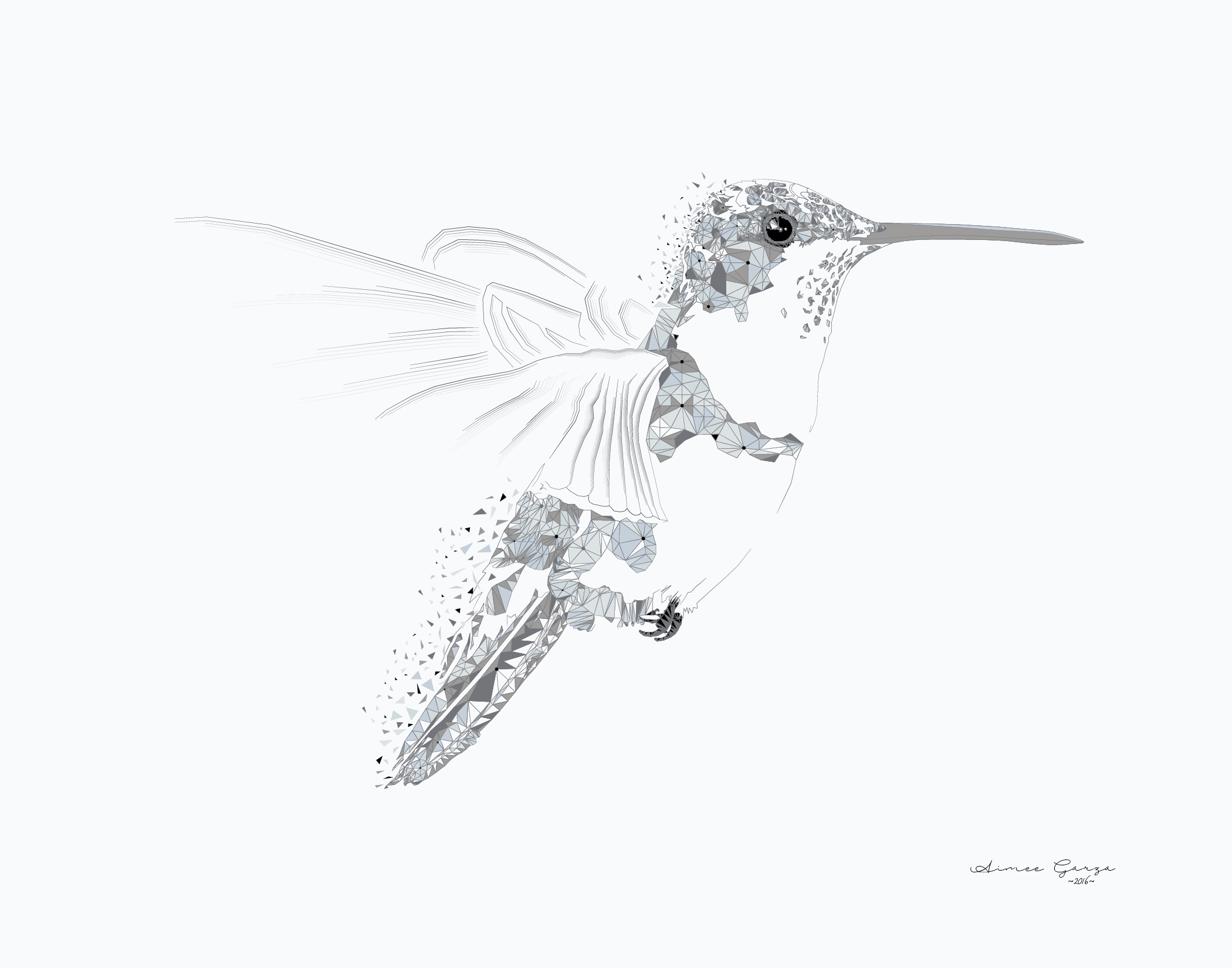 2100x1650 Air Hummingbird Elements Series Project Design