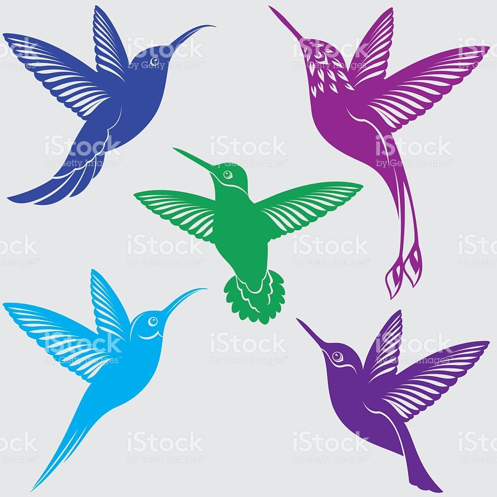 1024x1024 Hummingbirds Silhouettes Set Hummingbird, Silhouette And Vector Art