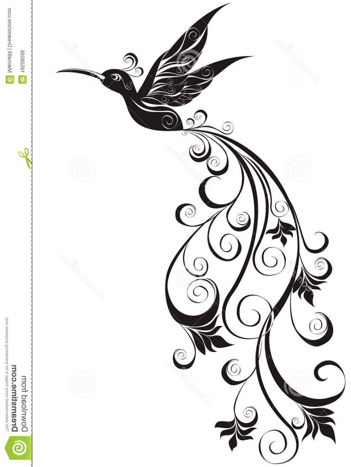 1172x1560 Royalty Free Stock Image Hummingbird Vector Illustration Image