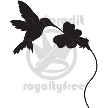 350x350 Flower Silhouette Hummingbird Vector Illustration Things To