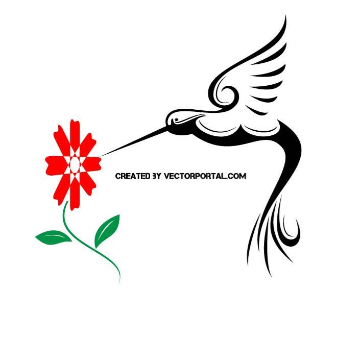 660x660 Hummingbird Free Vector