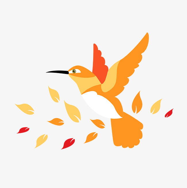 650x651 Vector Cartoon Hummingbird, Vector, Cartoon Vector, Cartoon Png