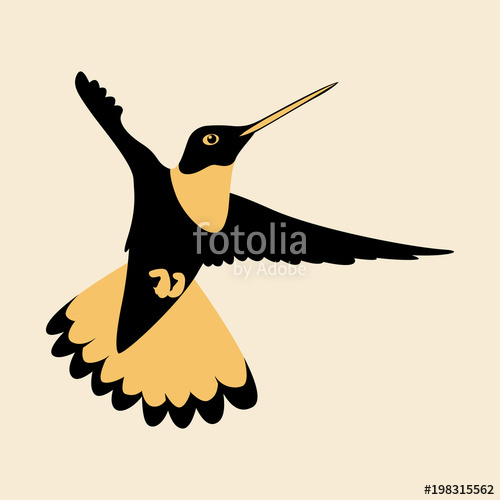 500x500 Hummingbird Vector Illustration Flat Style Profile Stock Image