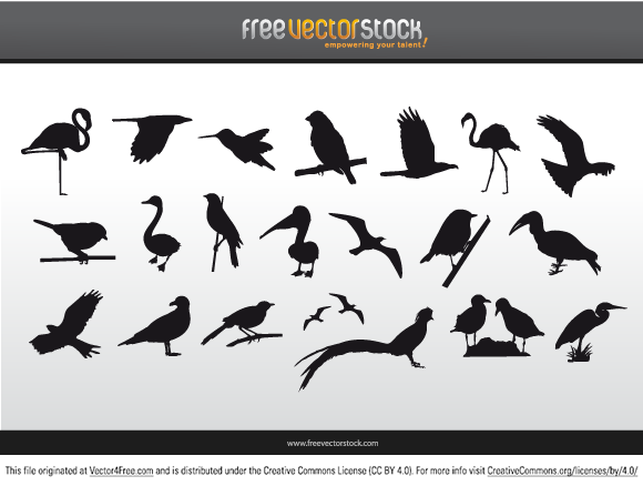 580x438 Free Hummingbird Vector Graphics