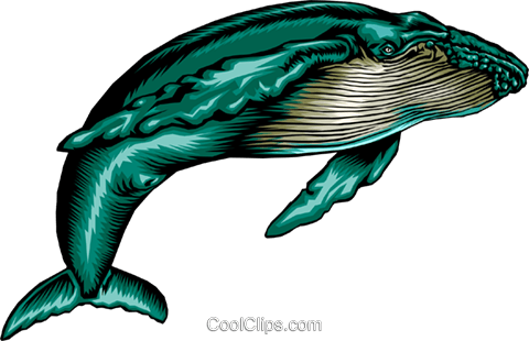 480x310 Humpback Whale Royalty Free Vector Clip Art Illustration Anim0376