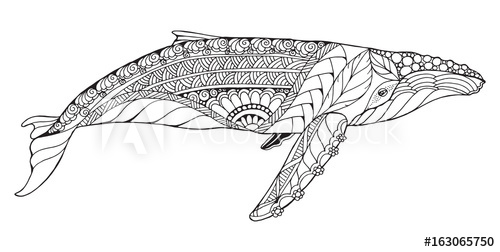 500x252 Zentangle Stylized Humpback Whale. Vector, Illustration, Freehand