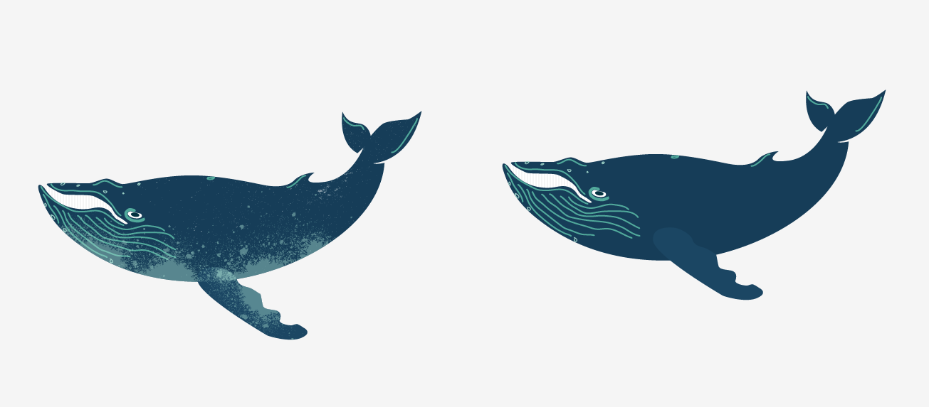 1305x573 Humpback Whale Vector