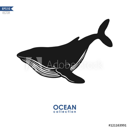 500x500 Vector Humpback Whale