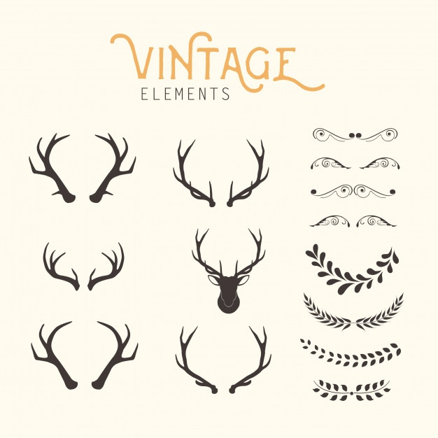626x626 Hunting Vectors, Photos And Psd Files Free Download