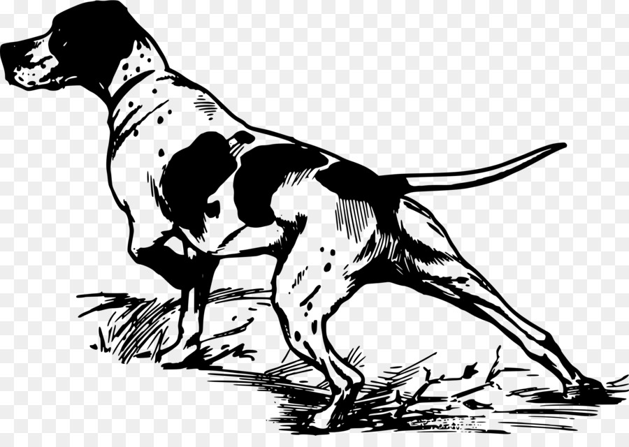 900x640 Pointer Greyhound Bird Dog Hunting Clip Art