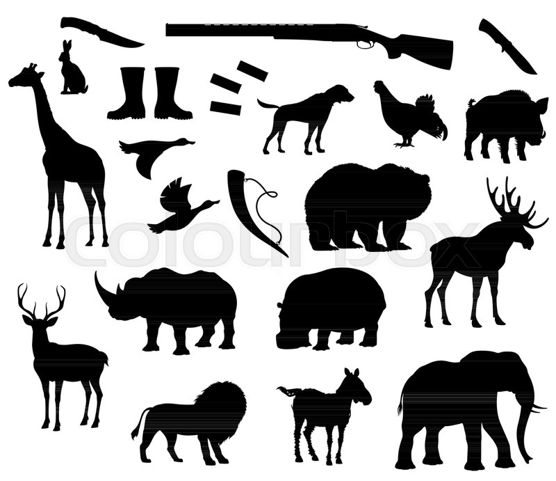 800x691 Animals Silhouette Isolated Icons For Hunting Club. Vector