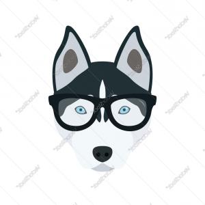 300x300 Portrait Of A Dog Of The Husky Vector Orangiausa