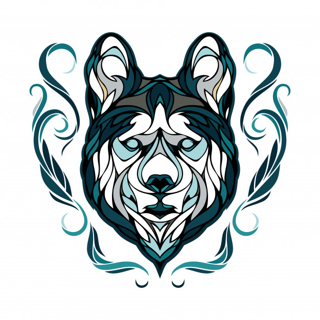 626x626 Siberian Husky Vector Premium Download