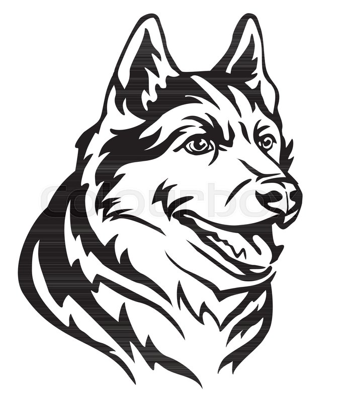 686x800 Decorative Portrait In Profile Of Dog Siberian Husky, Vector