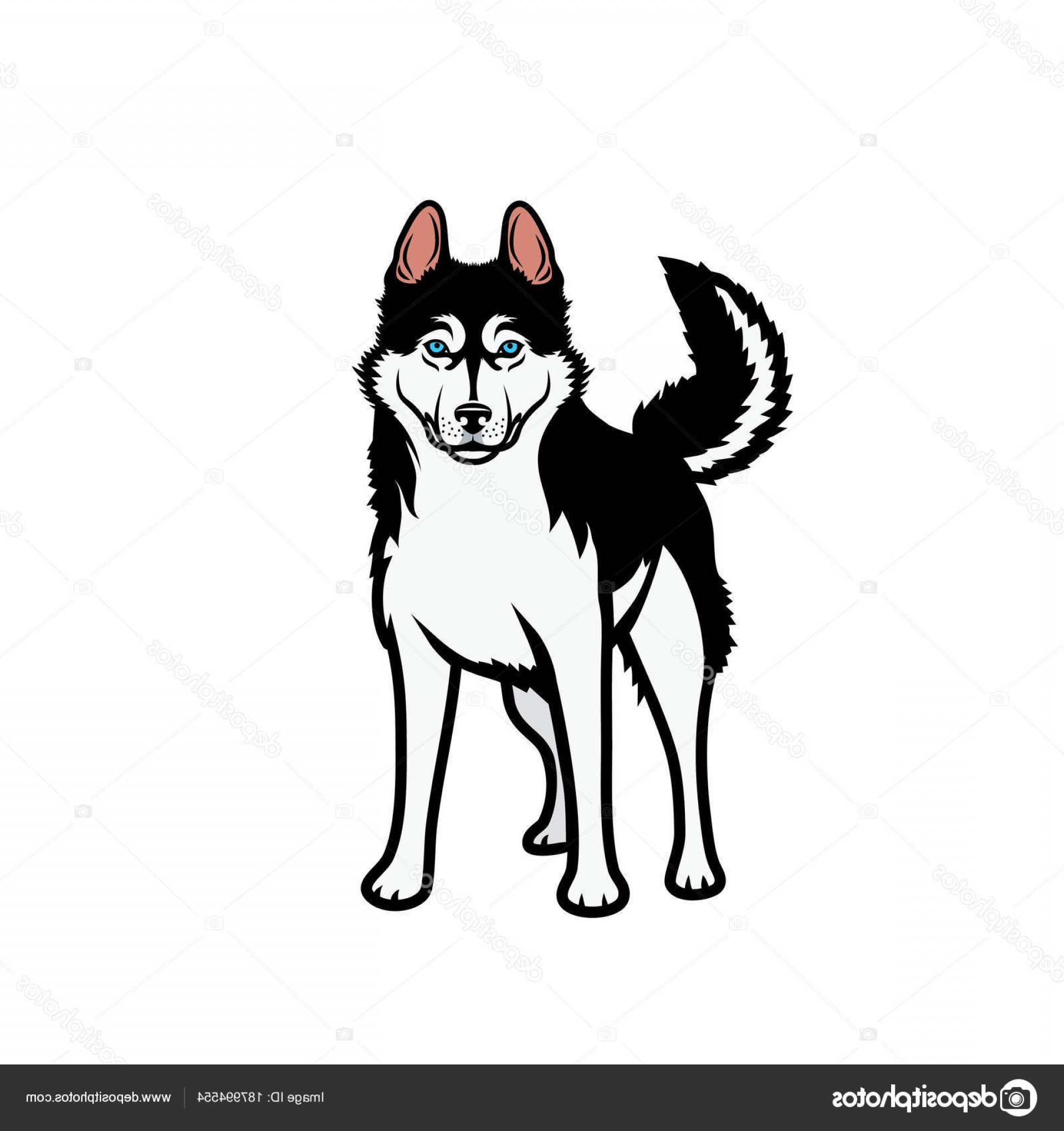 1920x2040 Stock Illustration Dog Husky Vector Illustration Shopatcloth