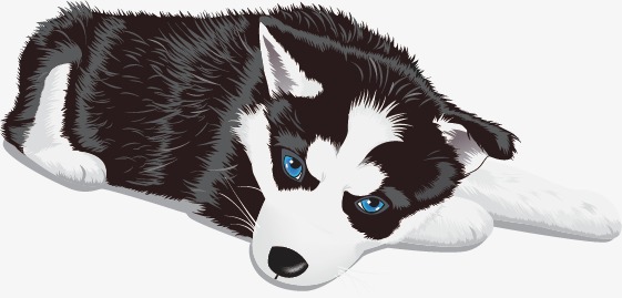 561x269 Vector Husky, Huskies, Hand Painted, Black And White Png And