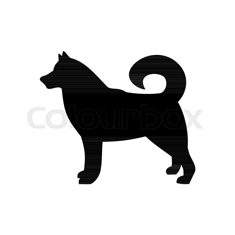 800x800 Dog Icon,dog Breed Husky,vector Illustration Stock Vector