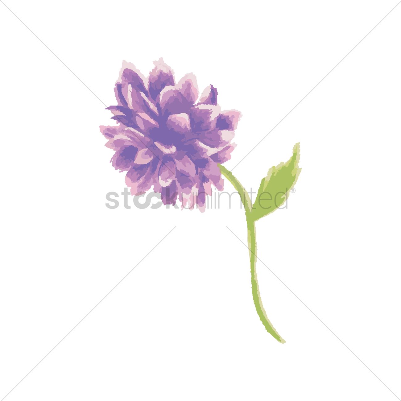 1300x1300 Hydrangea Vector Image