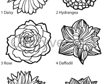 340x270 Hydrangea Vector Etsy