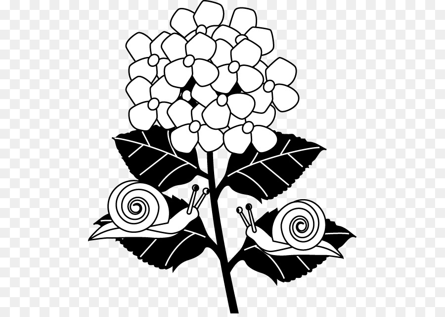 900x640 Download Floral Design Coloring Book Visual Arts Black And