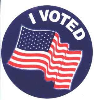 304x322 Election Day Whatever Works