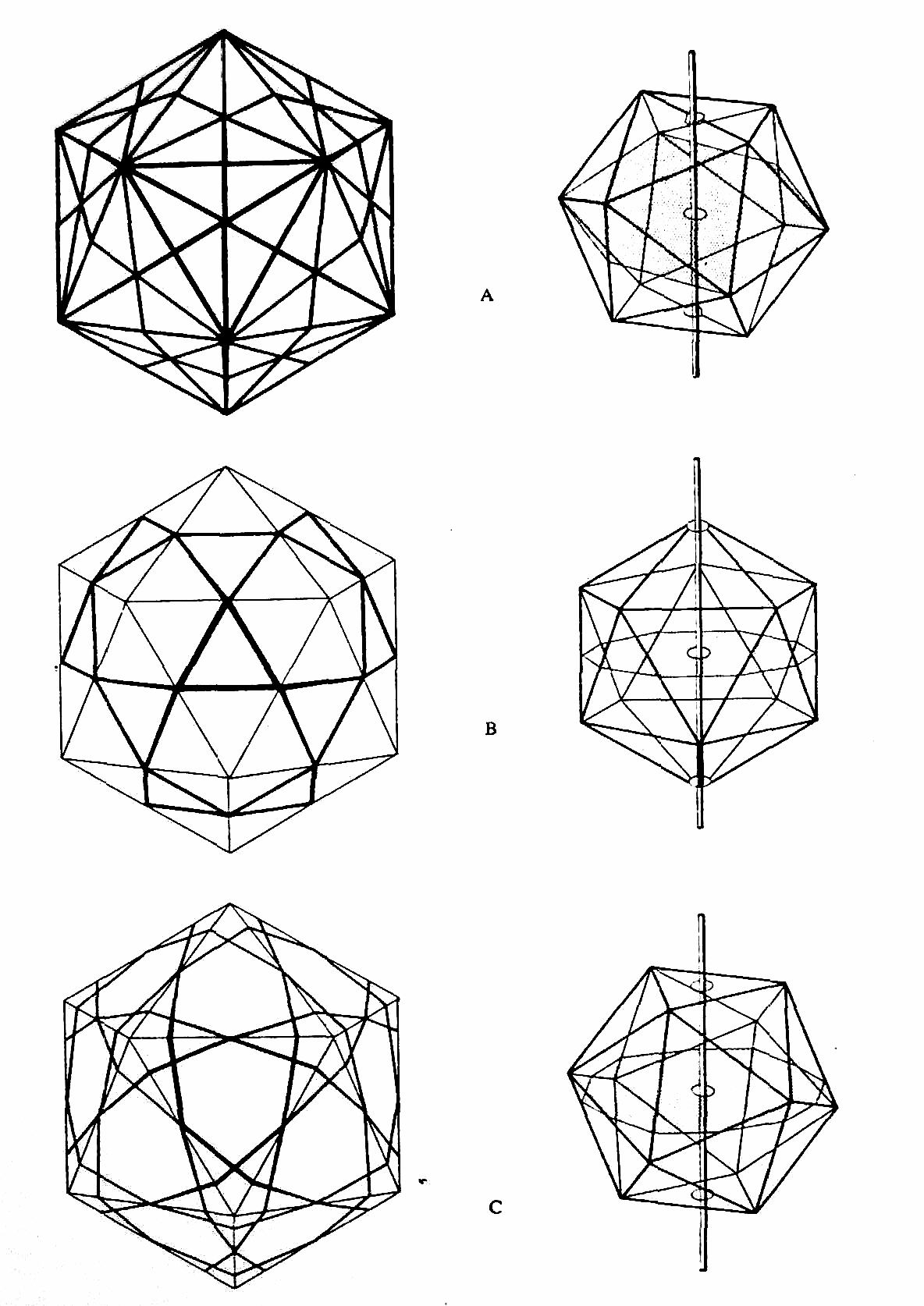 1184x1674 Vector Equilibrium And Its Transformation Pathways