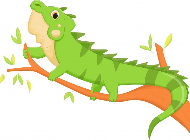 626x461 Iguana Vectors, Photos And Psd Files Free Download