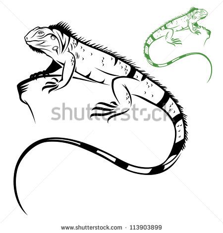 450x470 Isolated Iguana