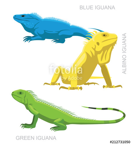 453x500 Lizard Iguana Set Cartoon Vector Illustration Stock Image And