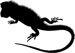 242x171 Reptiles And Amphibians Silhouettes Silhouettes Of Reptiles And