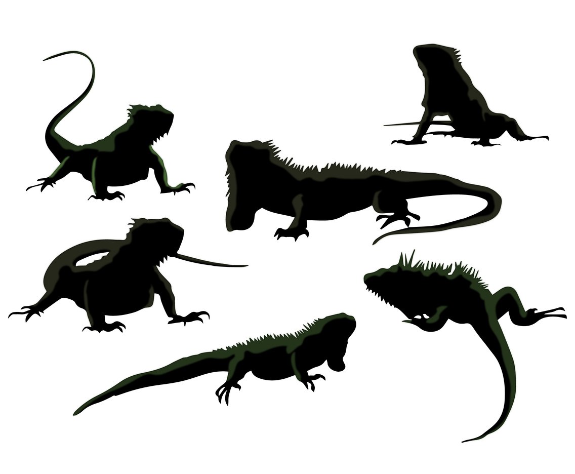 1136x936 Silhouette Iguana Vectors Vector Art Amp Graphics