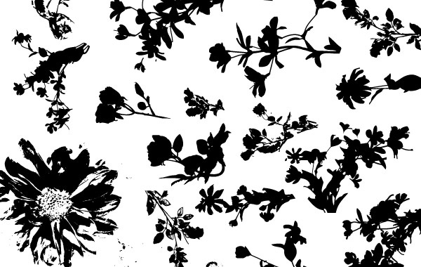 600x380 Floral Silhouette Vector Pack Free Vector In Adobe Illustrator Ai
