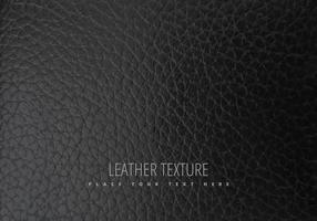 286x200 Leather Free Vector Art
