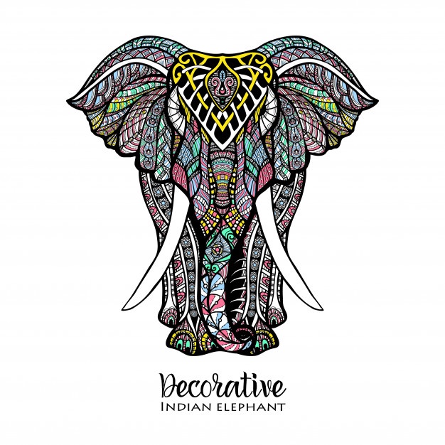 626x626 Indian Elephant Vectors, Photos And Psd Files Free Download