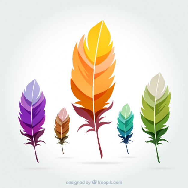 626x626 Feathers Vectors, Photos And Psd Files Free Download