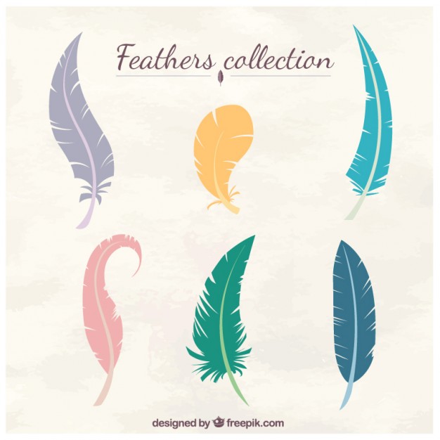 626x626 Feathers Vectors, Photos And Psd Files Free Download