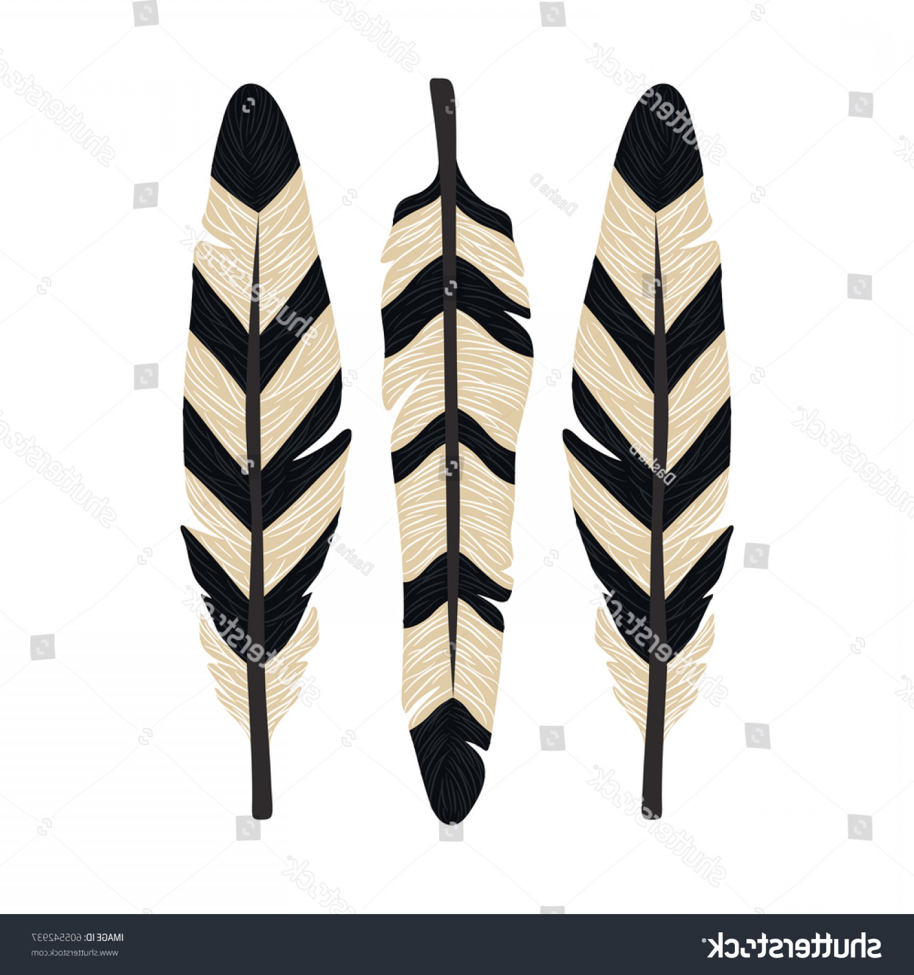 1800x1920 Vector Set Hand Drawn Indian Feathers Lazttweet