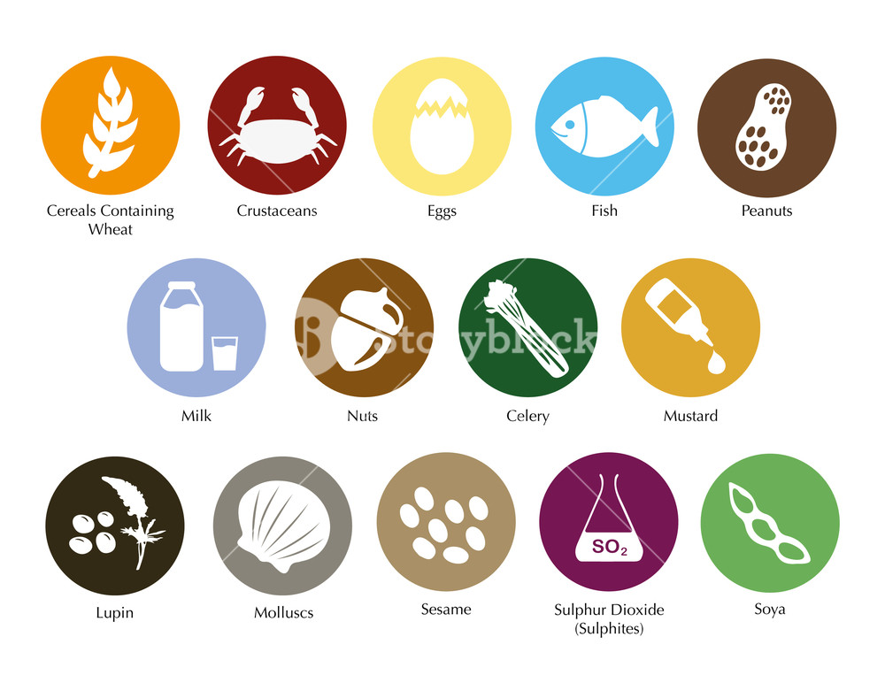 1000x772 Food Allergen Symbols Information Vector Set Royalty Free Stock