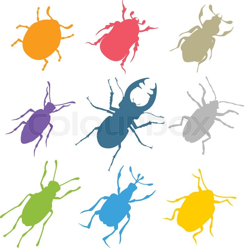 785x800 Colorful Insects Vector Collection. Insects Biology Natural