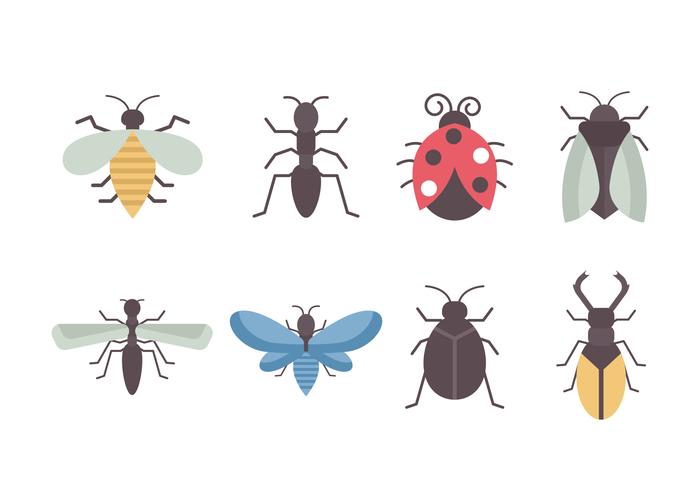 700x490 Free Insects Vector Collection